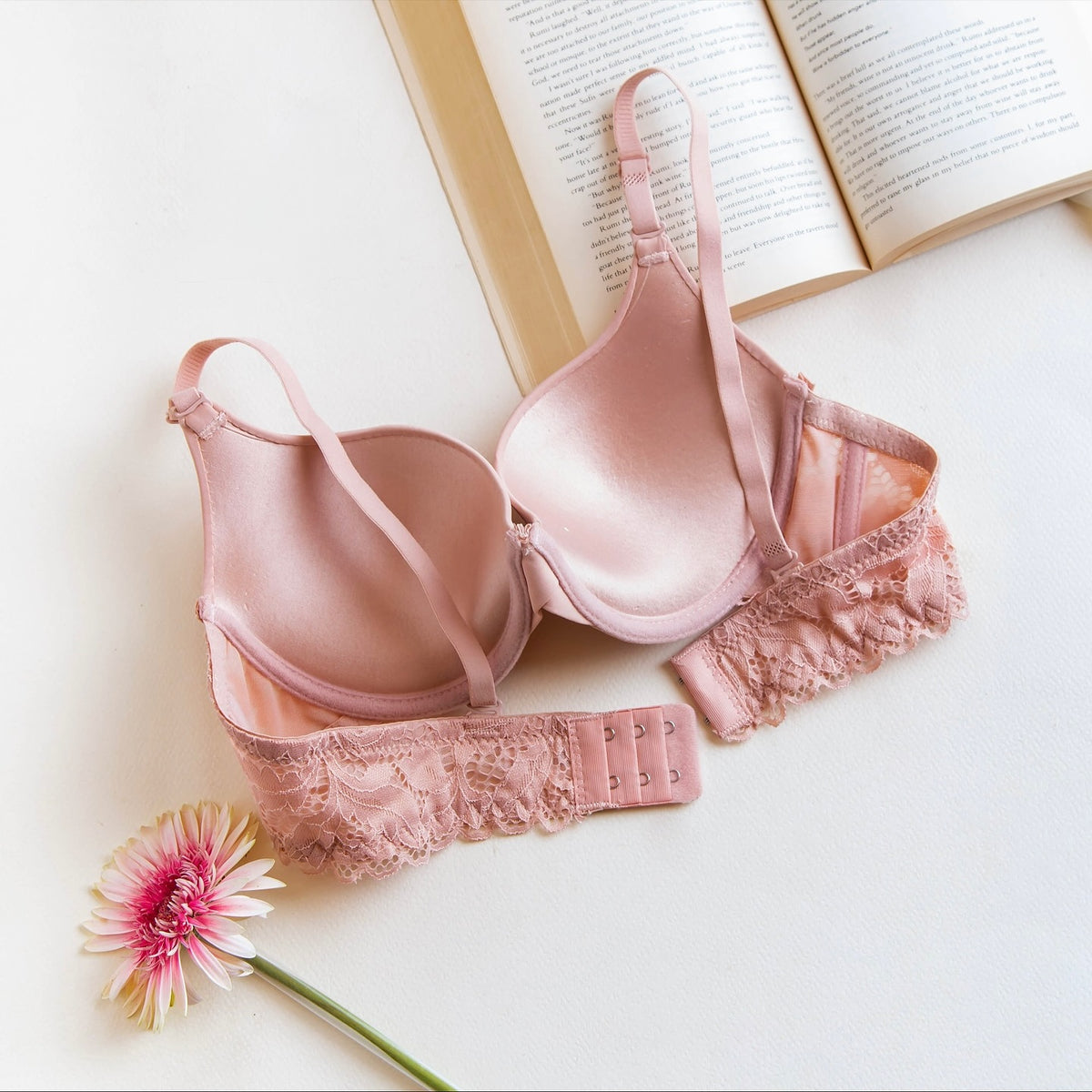 Lace Wing Molded Everyday Bra – Smooth Contour Underwire Bralette - Pack of 2