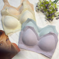 Seamless Ultra-Light Wireless Bra – Breathable Contour Everyday Bralette - Pack of 3